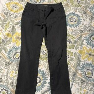 Loft Dress Pant